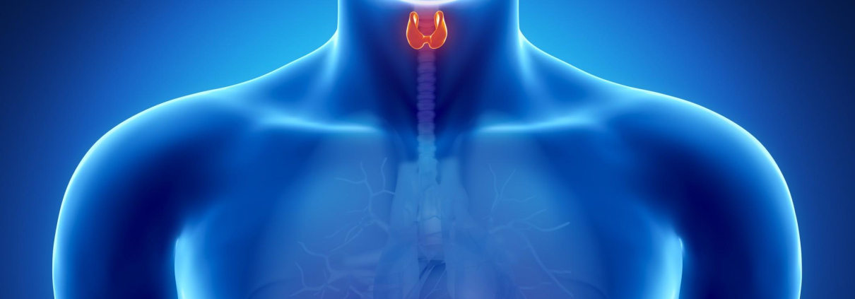 کم‌کاری تیروئید چیست و چه علائم و عوارضی دارد؟