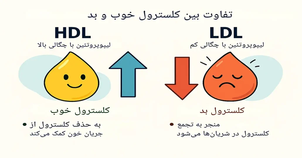 کلسترول خوب و بد چیست؟
